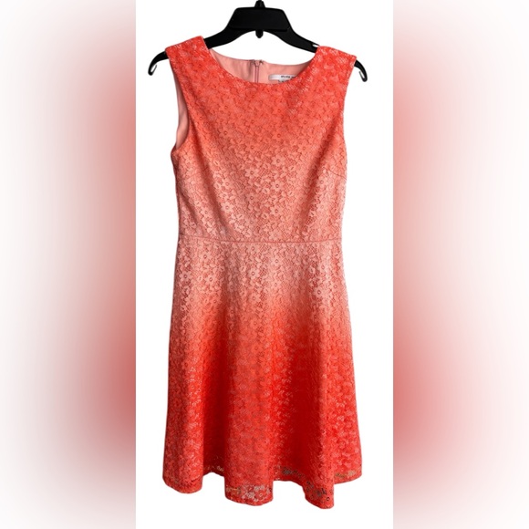 Studio One Coral Lace Fit & Flare Dress Size 4 Sleeveless Floral Overlay - Picture 2 of 4